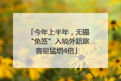 今年上半年，无锡“免签”入境外籍旅客量猛增4倍